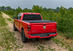 RL_E-SeriesFolding_19Ram_RearClosedLifestyle_1000x700.jpg