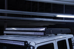 RR72-1_v2.jpg