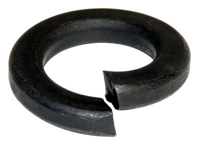 S0103336.jpg