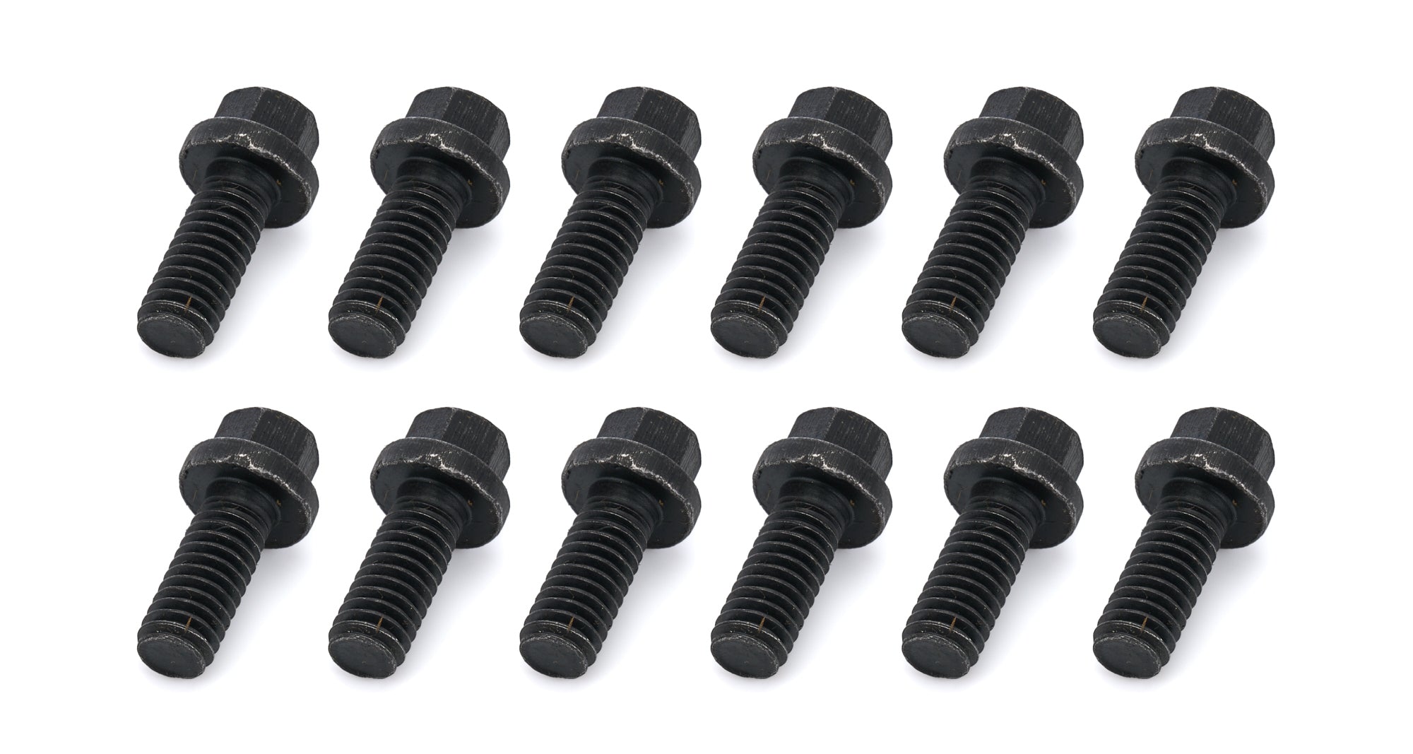 Schoenfeld Headers 3003-12 BOLT 5/16in X 3/4in (MOP AR)-12 Schoenfeld Headers 3003-12