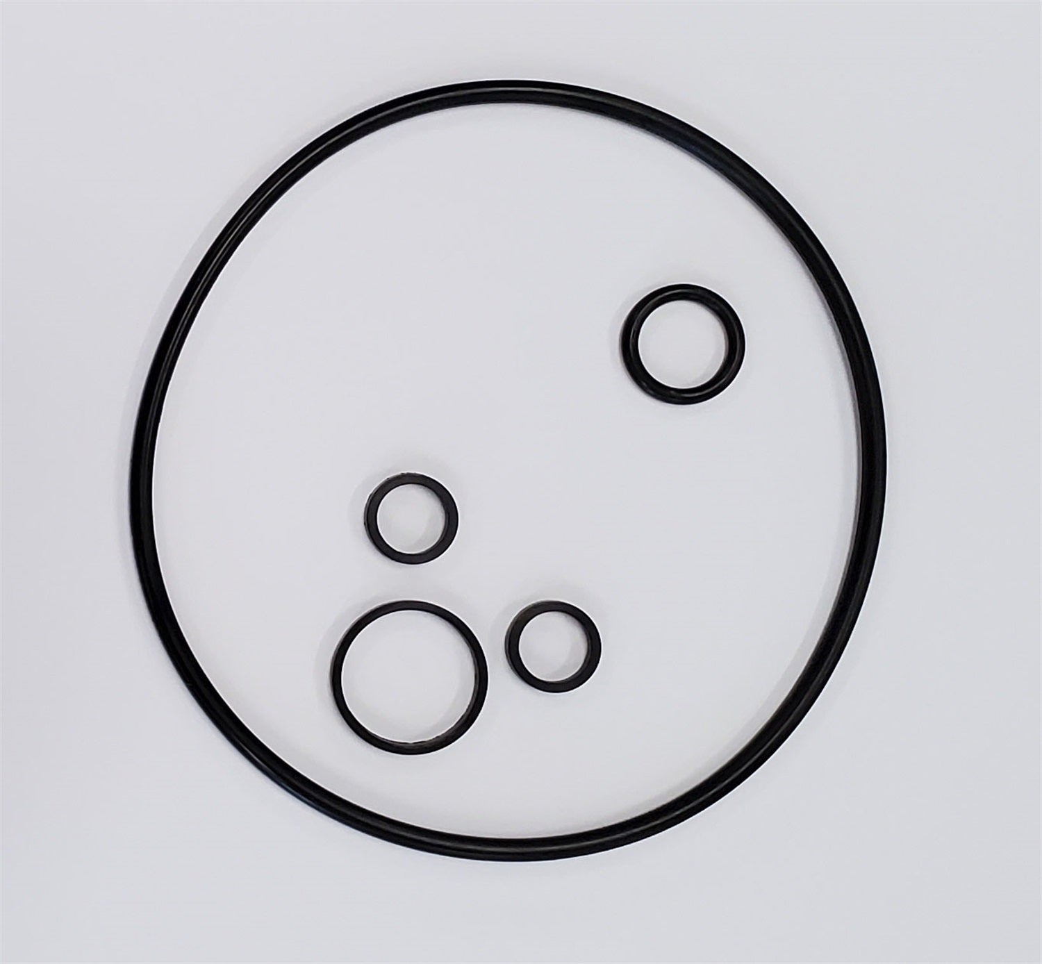 Borgeson SKPSPS Sagianw self-contained power steering pump seal kit. Borgeson SKPSPS