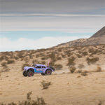 Shreddy-Lifestyle-03.jpg