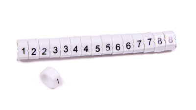 TAY41060.jpg