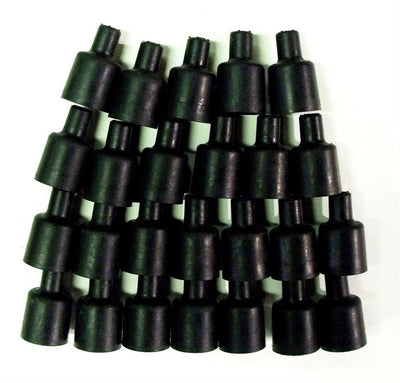 TAY44076.jpg