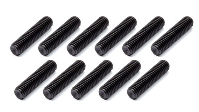 TIG2306.jpg