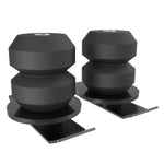 TMB-TORTUN4L_01.jpg