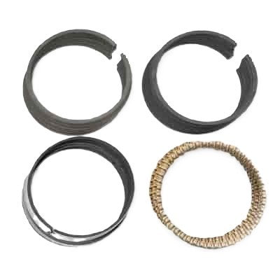 Total Seal CS8794 25 CS Piston Ring Set 3.800 Bore 1.5 1.5 3.0mm Total Seal CS8794 25