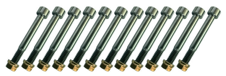 Triple X Race Components SC-BN-3500 Nerf Bar Bolt Kit Titanium Triple X Race Components SC-BN-3500