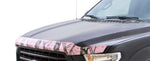 Vigilante_shield_NBU_on_vehicle.jpg
