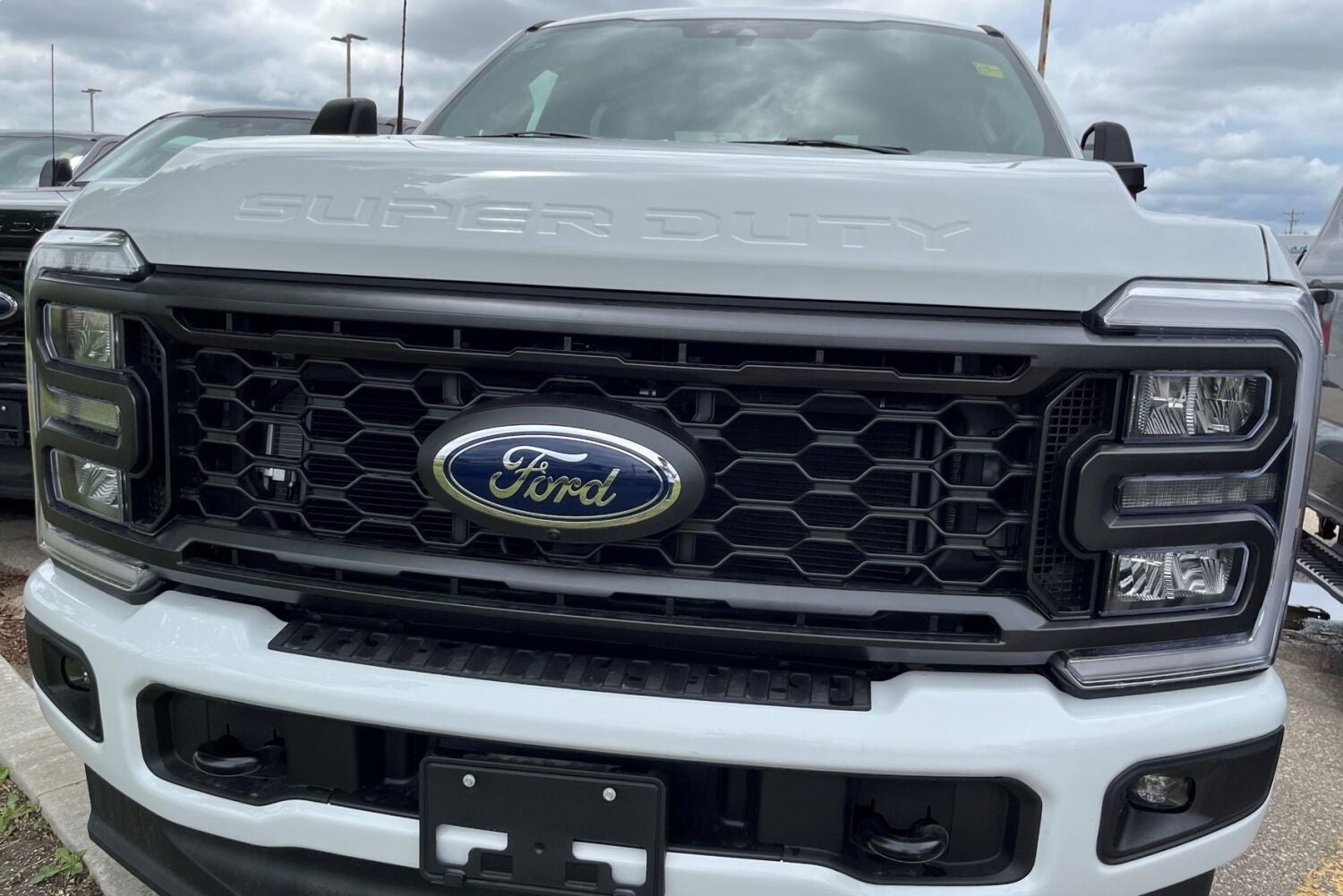 FIA GS902-41 Custom Fit Grille Bug Screen; FIA GS902-41