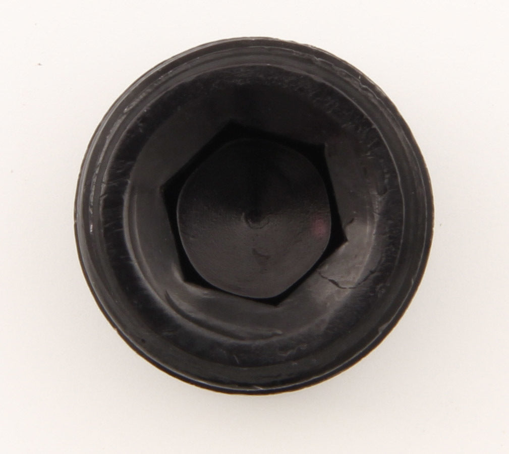 XRP 993205BB Allen Pipe Plug - 1/2in Black XRP 993205BB