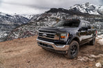 avs_aeroskinII_21FordF150_lifestyle2_436196.jpg