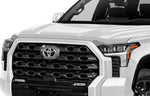 avs_aeroskin_chrome_toyotatundra_622294.jpg