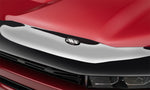 avs_smokebugflectorII_mount_Front_CU1.jpg