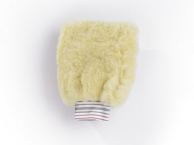 car_washing_mitt_15.jpg