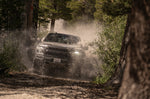 fox-stock-photo-my19-raptor-d.jpg