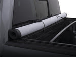 genesis_snap_rolled_up_detail.jpg