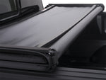 genesis_trifold_detail.jpg