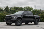 raptor-1.jpg
