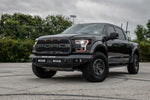 raptor-2.jpg