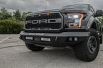 raptor-4.jpg