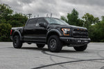 raptor-6.jpg