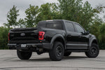 raptor-7.jpg