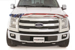 stampede19fordf-150americanflaghood2153-4.jpg