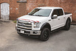 stampede19fordf-150sidewindstape-onz611001.jpg